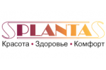 Planta