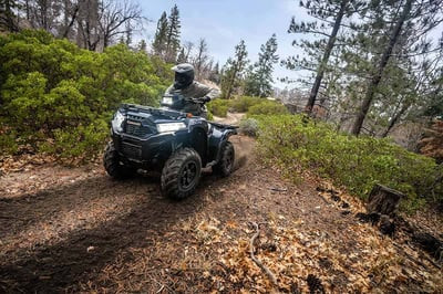 Квадроцикл KAWASAKI Brute Force 750 EPS (2024) (ПСМ)