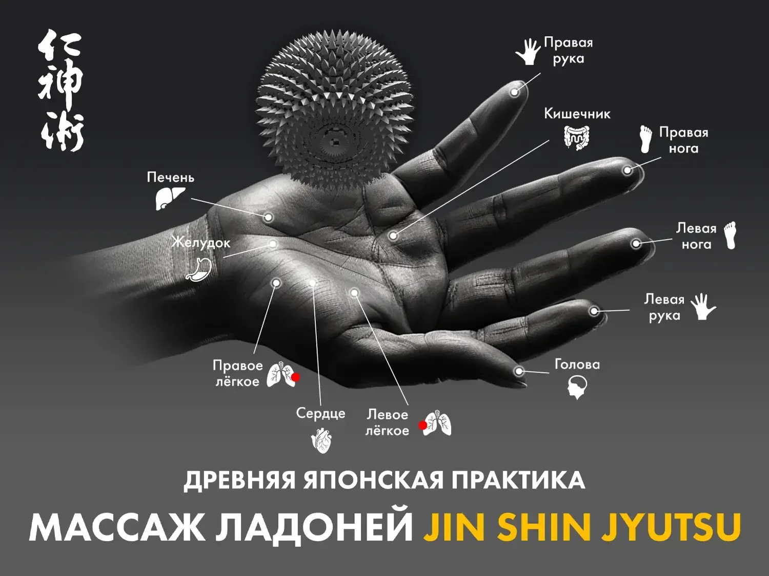 Массажное кресло FUJIMO 氣 GURU2  Коричневый