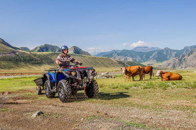 Квадроцикл СТЕЛС ATV 650 Guepard Trophy EPS CVTech (ПСМ)