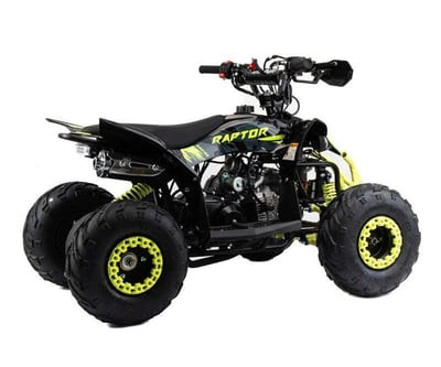 Квадроцикл MOTOLAND Raptor 110