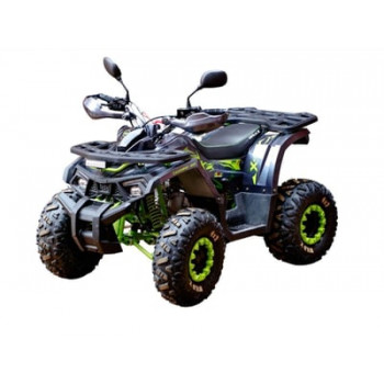 Квадроцикл MOTOLAND 125 Wild X Pro