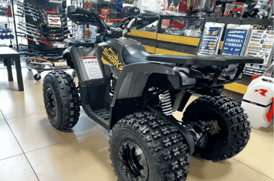Квадроцикл YAMAHA SHARK 175