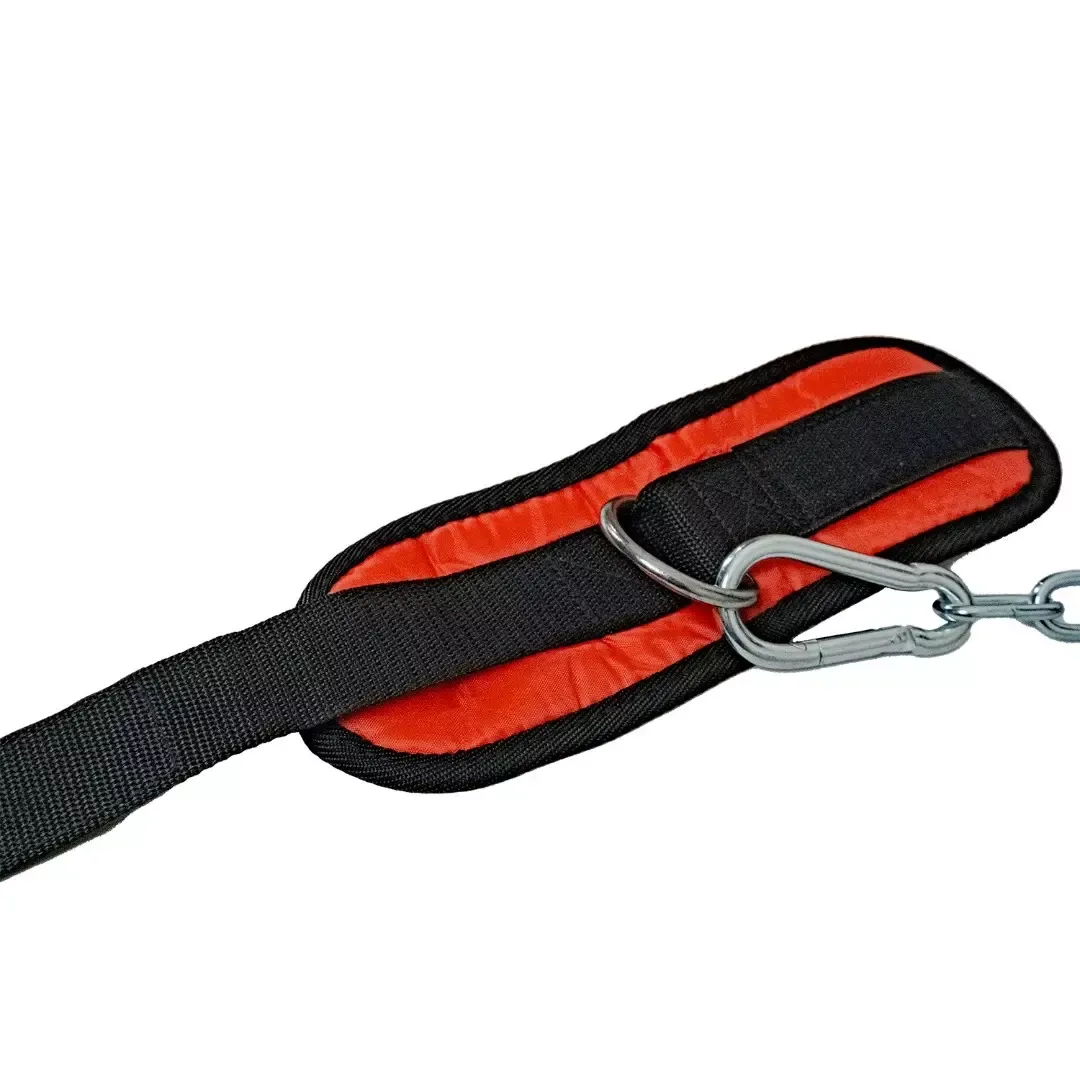 Мультистанция Protrain HG 10250