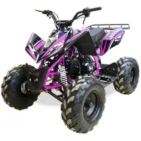 Квадроцикл MOTAX ATV T-Rex Super LUX 50 cc