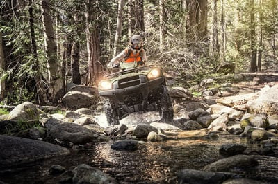 Квадроцикл KAWASAKI Brute Force KVF 750 4x4i EPS (2023) (ПСМ)