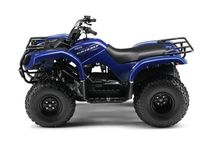 Квадроцикл GRIZZLY 125
