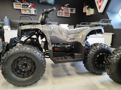 Квадроцикл MOTAX Grizlik T 200