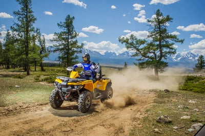Квадроцикл СТЕЛС ATV 650 Guepard Trophy EPS CVTech (ПСМ)