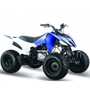 Квадроцикл МОТОМИР PANTERA 125