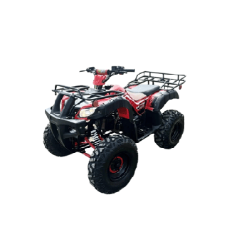 Квадроцикл RAPTOR Madman 200 All