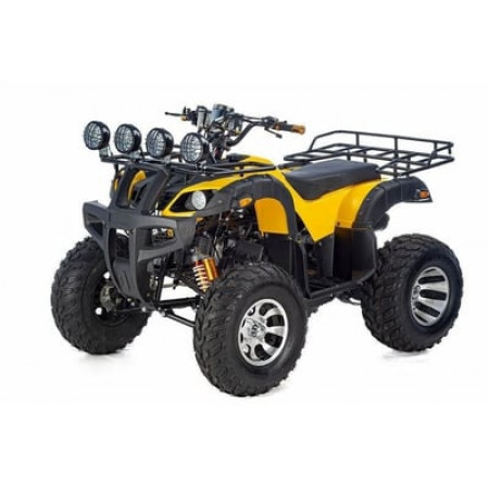 Квадроцикл RAPTOR MAX PRO 250 (жёлтый/чёрный)