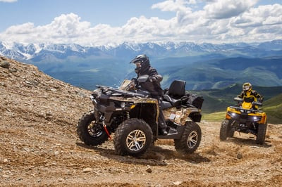 Квадроцикл СТЕЛС ATV 650 Guepard Trophy EPS (ПСМ)