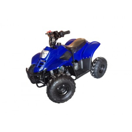 Квадроцикл RAPTOR 110