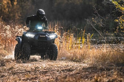 Квадроцикл KAWASAKI Brute Force 750 EPS (2024) (ПСМ)