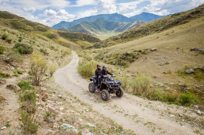 Квадроцикл СТЕЛС ATV 650 Guepard Trophy EPS (ПСМ)