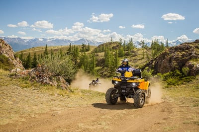 Квадроцикл СТЕЛС ATV 650 Guepard Trophy EPS CVTech (ПСМ)