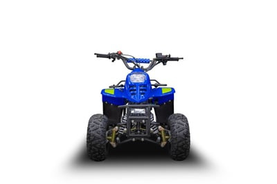 Квадроцикл TIGER 150 Universal RX