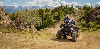 Квадроцикл СТЕЛС ATV 650 Guepard Trophy EPS CVTech (ПСМ)