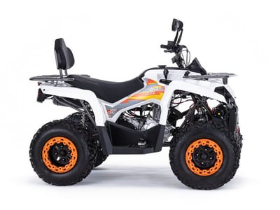 Квадроцикл MOTAX ATV Grizlik 200 Ultra