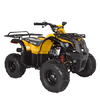 Квадроцикл ABM NINJA 110