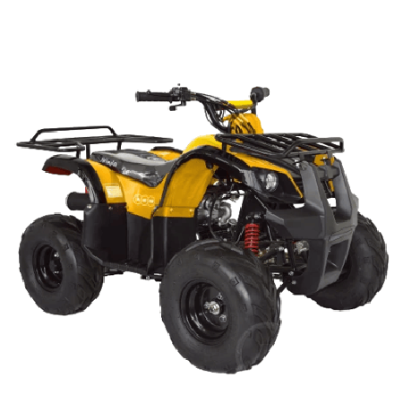 Квадроцикл ABM NINJA 110