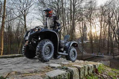 Квадроцикл BALTMOTORS Striker 500 EFI