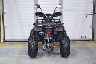 Квадроцикл GRIZZLY 200