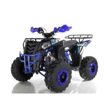 Квадроцикл WELS THUNDER EVO