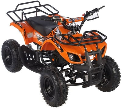 Квадроцикл MOTAX ATV Mini Grizlik X-16 Big Wheel (м/с)